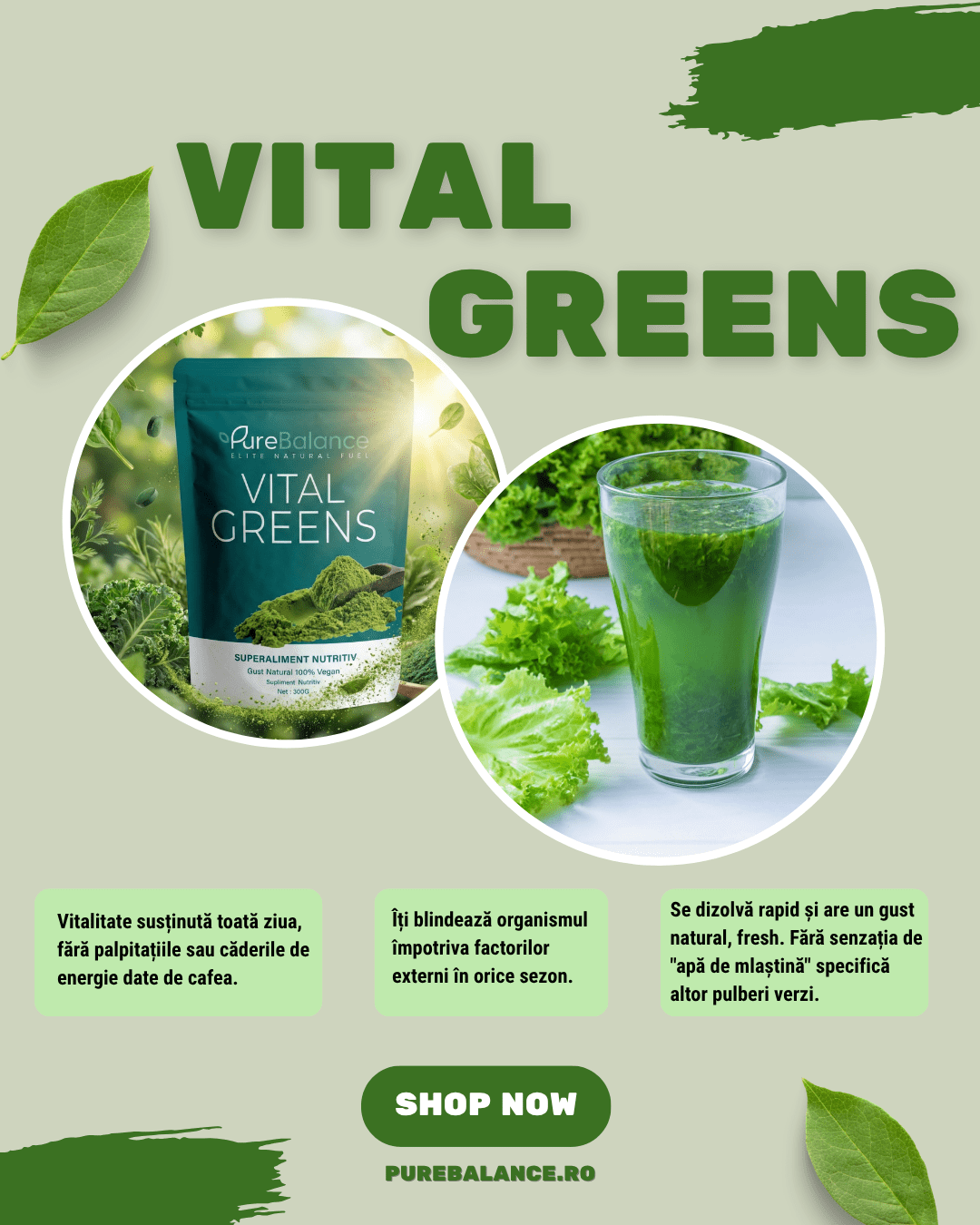 Complex Superalimente Verzi & Multivitamine Pulbere | Vital Greens Pure Balance | Energie & Imunitate | 300g (30 Zile) - Pure Balance