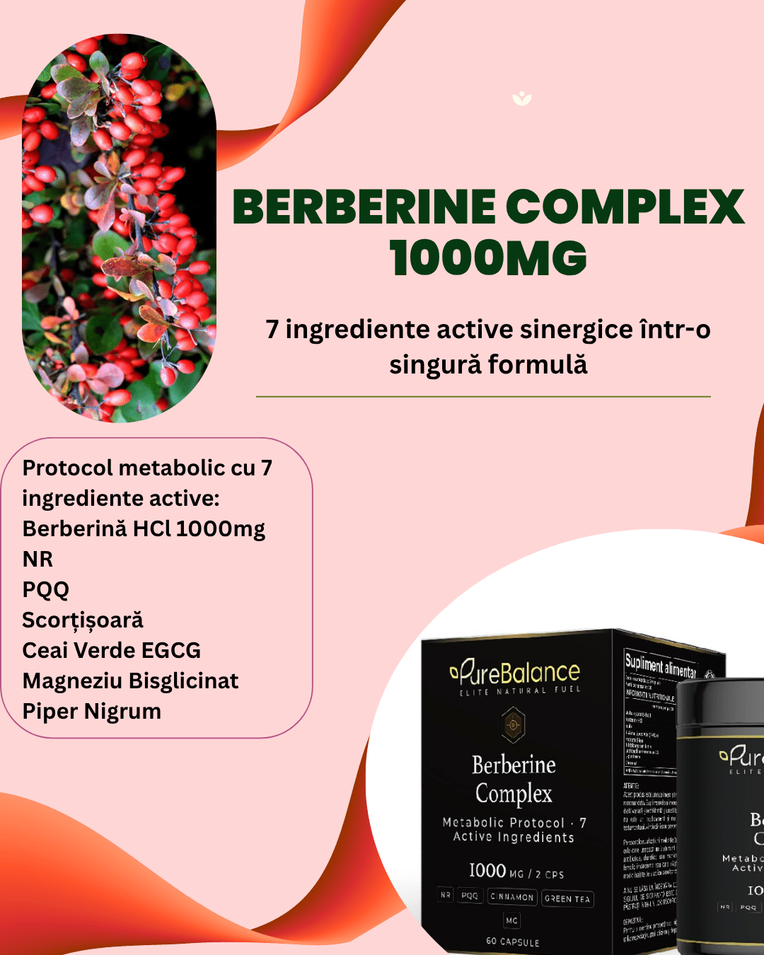 Berberina Complex 1000mg – Protocol Metabolic cu 7 Ingrediente Active | NR + PQQ + Scorțișoară + Ceai Verde | 60 Capsule (30 Zile) | Pure Balance - Pure Balance